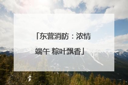 东营消防：浓情端午 粽叶飘香