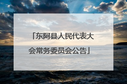 东阿县人民代表大会常务委员会公告