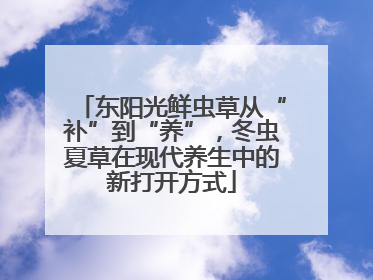 东阳光鲜虫草从“补”到“养”，冬虫夏草在现代养生中的新打开方式