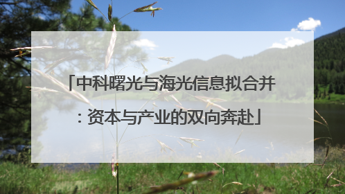 中科曙光与海光信息拟合并：资本与产业的双向奔赴
