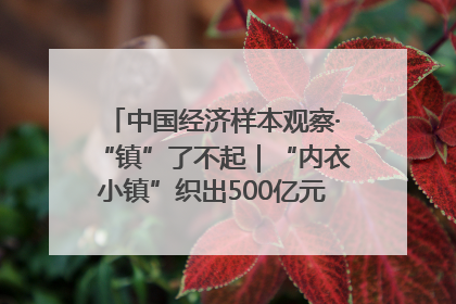 中国经济样本观察·“镇”了不起｜“内衣小镇”织出500亿元“里子产业”