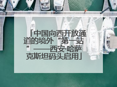 中国向西开放通道的境外“第一站”——西安·哈萨克斯坦码头启用