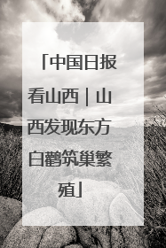 中国日报看山西｜山西发现东方白鹳筑巢繁殖
