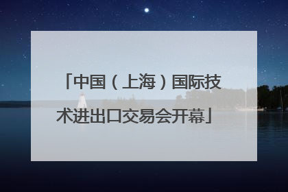 中国（上海）国际技术进出口交易会开幕