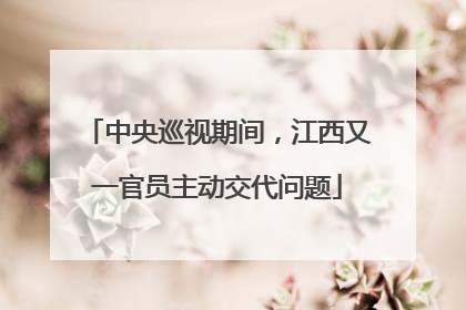 中央巡视期间，江西又一官员主动交代问题