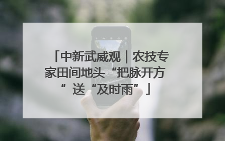 中新武威观｜农技专家田间地头“把脉开方”送“及时雨”