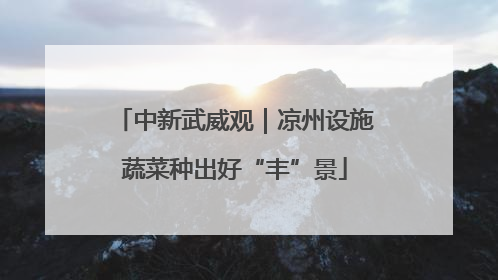 中新武威观｜凉州设施蔬菜种出好“丰”景
