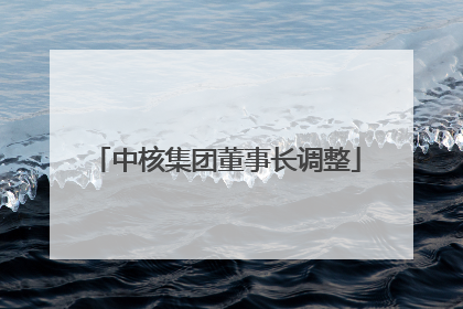 中核集团董事长调整