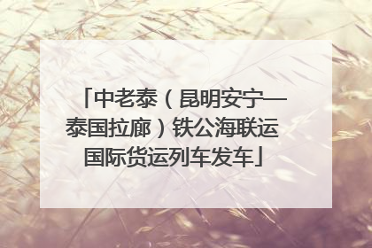 中老泰（昆明安宁—泰国拉廊）铁公海联运国际货运列车发车