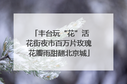 丰台玩“花”活 花街夜市百万片玫瑰花瓣雨甜翻北京城