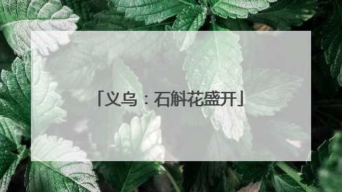 义乌：石斛花盛开