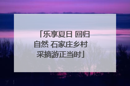 乐享夏日 回归自然 石家庄乡村采摘游正当时