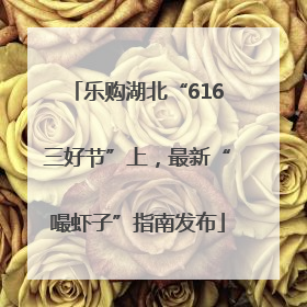 乐购湖北“616三好节”上，最新“嘬虾子”指南发布