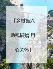 乡村振兴｜助残捐赠 用心关怀