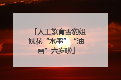 人工繁育雪豹姐妹花“水墨”“油画”六岁啦