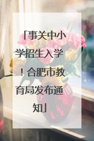 事关中小学招生入学！合肥市教育局发布通知