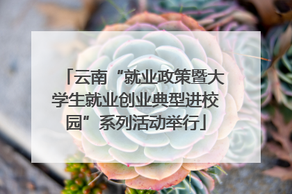 云南“就业政策暨大学生就业创业典型进校园”系列活动举行