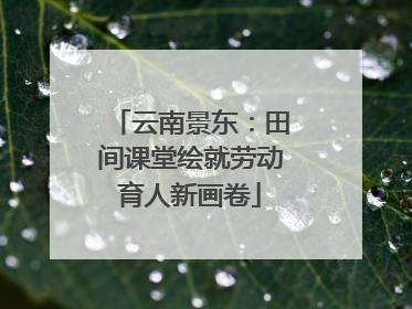 云南景东：田间课堂绘就劳动育人新画卷