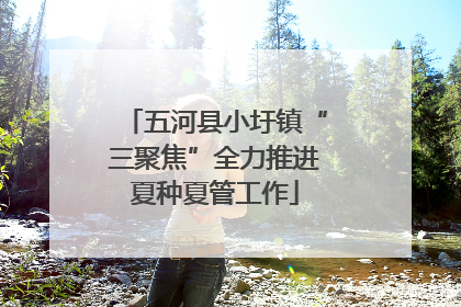 五河县小圩镇“三聚焦”全力推进夏种夏管工作