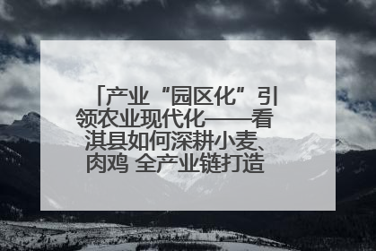 产业“园区化”引领农业现代化——看淇县如何深耕小麦、肉鸡 全产业链打造现代农业产业园