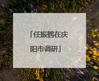 任振鹤在庆阳市调研
