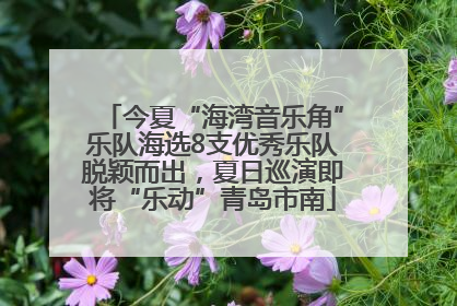 今夏“海湾音乐角”乐队海选8支优秀乐队脱颖而出，夏日巡演即将“乐动”青岛市南