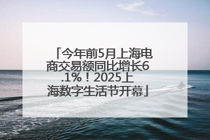 今年前5月上海电商交易额同比增长6.1%！2025上海数字生活节开幕