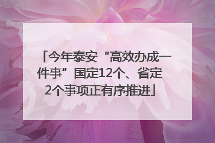 今年泰安“高效办成一件事”国定12个、省定2个事项正有序推进