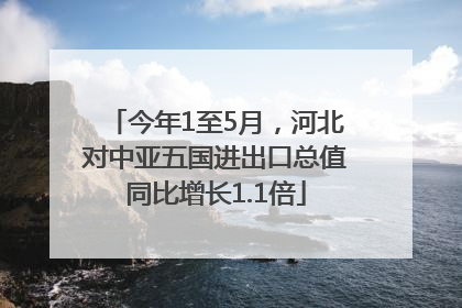 今年1至5月，河北对中亚五国进出口总值同比增长1.1倍
