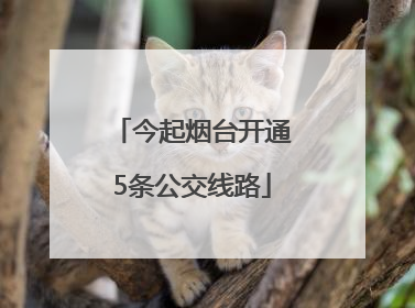 今起烟台开通5条公交线路