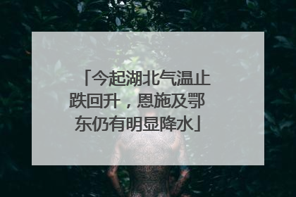 今起湖北气温止跌回升，恩施及鄂东仍有明显降水