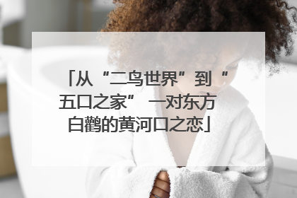 从“二鸟世界”到“五口之家” 一对东方白鹳的黄河口之恋