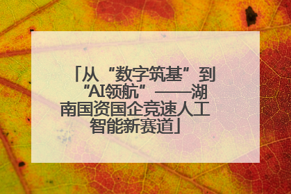从“数字筑基”到“AI领航”——湖南国资国企竞速人工智能新赛道
