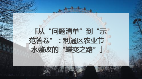从“问题清单”到“示范答卷”：利通区农业节水整改的“蝶变之路”