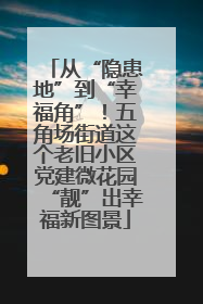 从“隐患地”到“幸福角”！五角场街道这个老旧小区党建微花园“靓”出幸福新图景