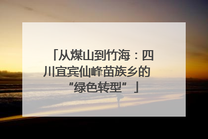 从煤山到竹海：四川宜宾仙峰苗族乡的“绿色转型”