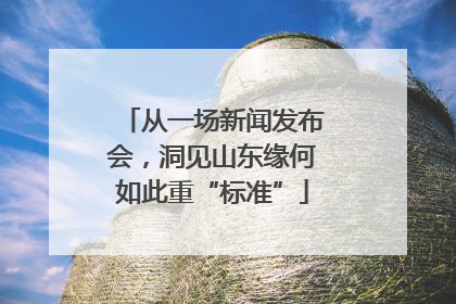 从一场新闻发布会，洞见山东缘何如此重“标准”