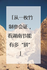 从一枚竹制参会证，看湖南节能有多“拼”