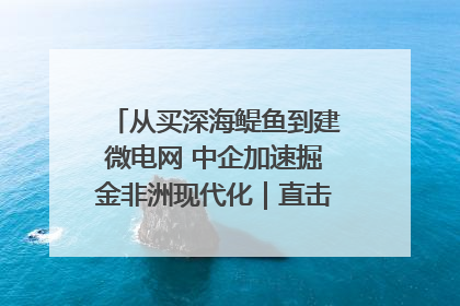 从买深海鳀鱼到建微电网 中企加速掘金非洲现代化｜直击中非经贸博览会
