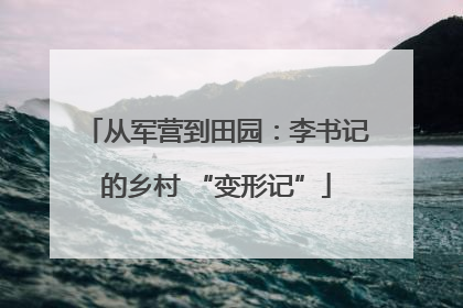 从军营到田园：李书记的乡村 “变形记”