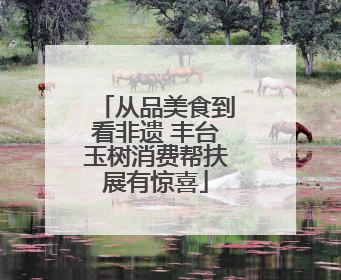 从品美食到看非遗 丰台玉树消费帮扶展有惊喜
