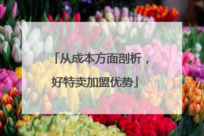 从成本方面剖析，好特卖加盟优势