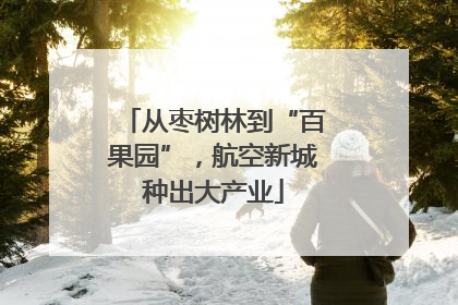 从枣树林到“百果园”，航空新城种出大产业