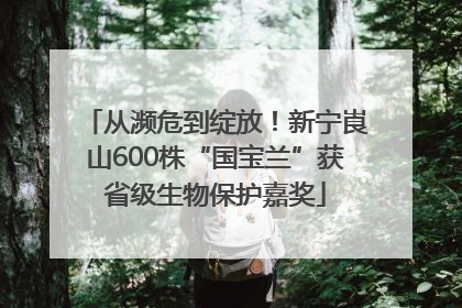 从濒危到绽放！新宁崀山600株“国宝兰”获省级生物保护嘉奖