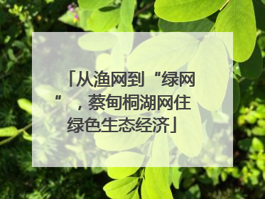 从渔网到“绿网”，蔡甸桐湖网住绿色生态经济