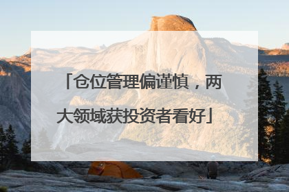 仓位管理偏谨慎，两大领域获投资者看好