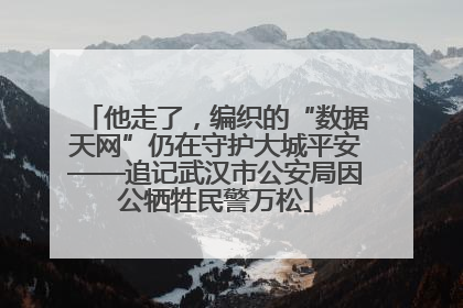 他走了，编织的“数据天网”仍在守护大城平安——追记武汉市公安局因公牺牲民警万松