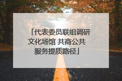 代表委员联组调研文化场馆 共商公共服务提质路径