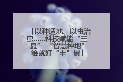 以种适地、以虫治虫……科技赋能“三夏” “智慧种地”绘就好“丰”景