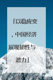 以稳应变,中国经济展现韧性与潜力